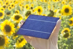 Lire la suite à propos de l’article Définition photovoltaïque : lexique essentiel pour les professionnels de l’énergie