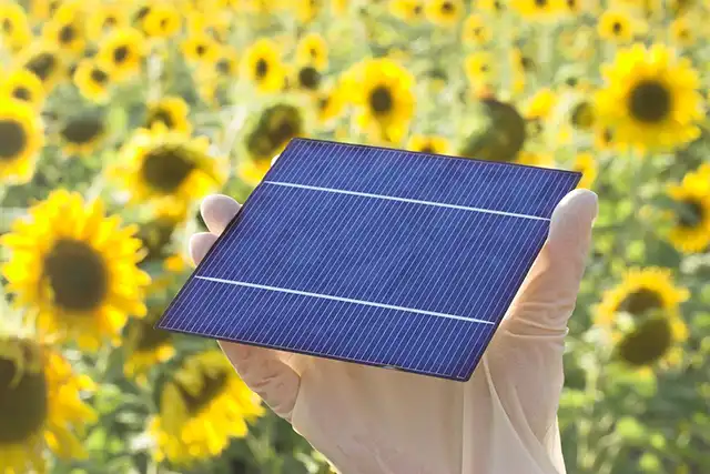 You are currently viewing Définition photovoltaïque : lexique essentiel pour les professionnels de l’énergie