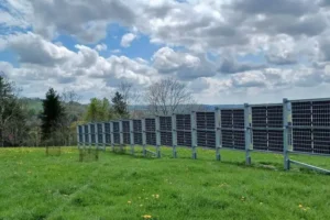 Lire la suite à propos de l’article Panneaux bifaciaux vs monocristallins : quelles différences de rendement en 2025 ?